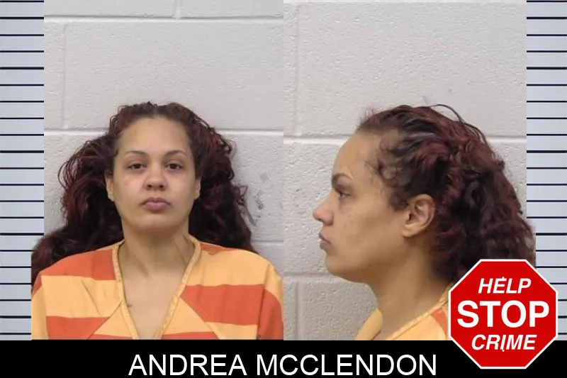 Andrea McClendon mugshot – Paulding County , Georgia Andrea McClendon mugshot