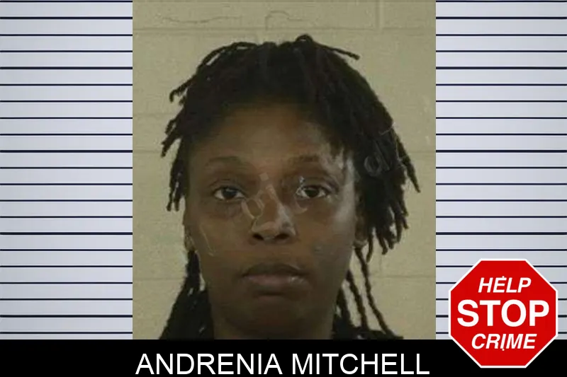 Andrenia Mitchell mugshot – Liberty County , Georgia Andrenia Mitchell mugshot