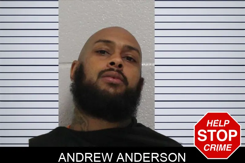Andrew Anderson mugshot – Carroll County , Georgia Andrew Anderson mugshot