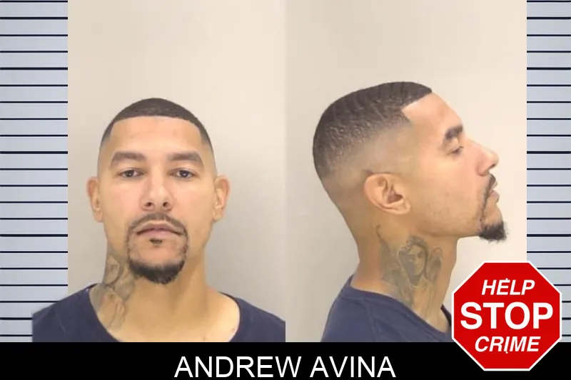 Andrew Avina Mugshots