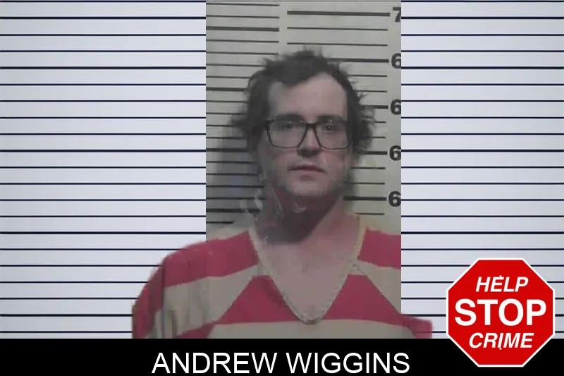 Andrew Wiggins Mugshots