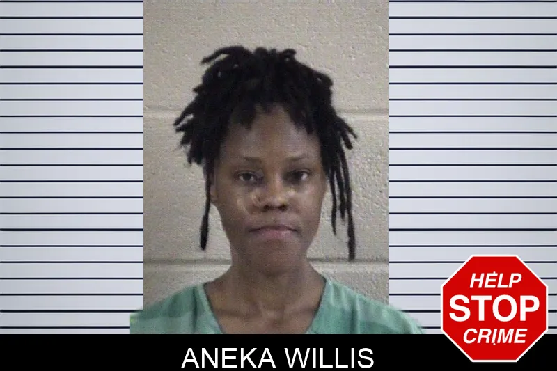 Aneka Willis Mugshots
