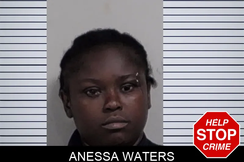 Anessa Waters mugshot