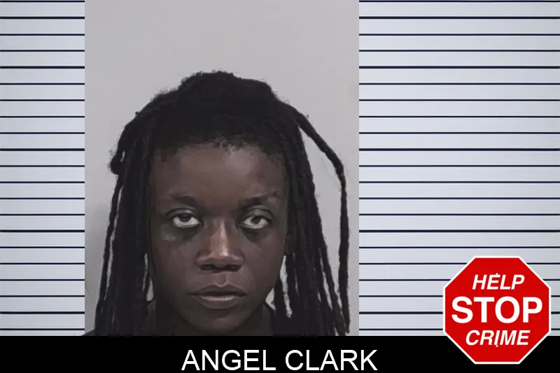 Angel Clark Mugshots