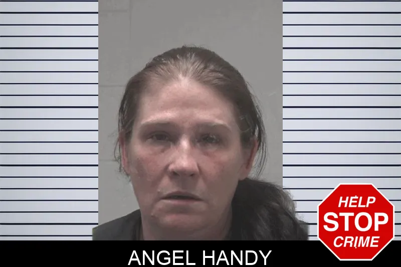 Angel Handy mugshot – Coweta County , Georgia Angel Handy mugshot