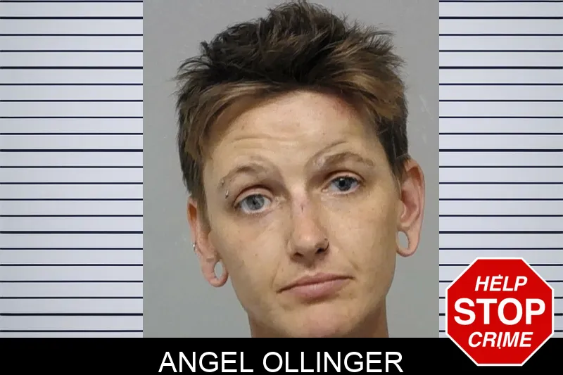 Angel Ollinger Mugshots