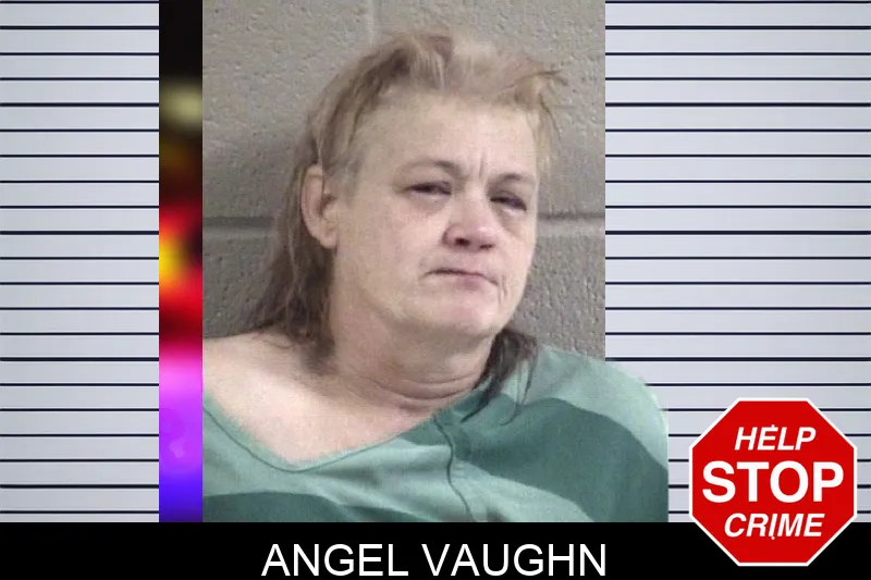 Angel Vaughn mugshot