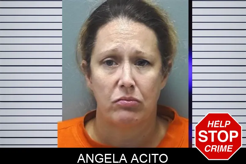 Angela Acito mugshot – Cherokee County , Georgia Angela Acito mugshot