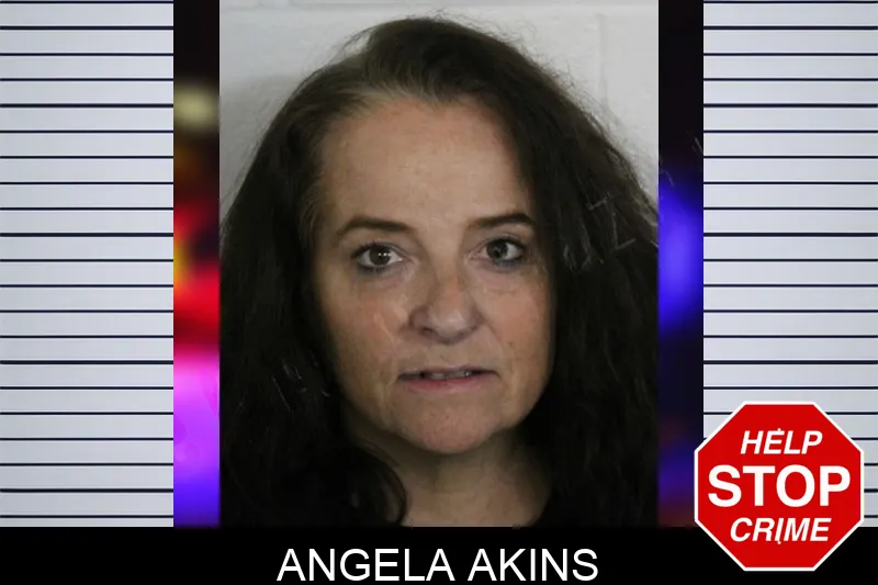Angela Akins Mugshots