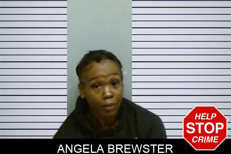 Angela Brewster mugshot – Fulton County , Georgia Angela Brewster mugshot