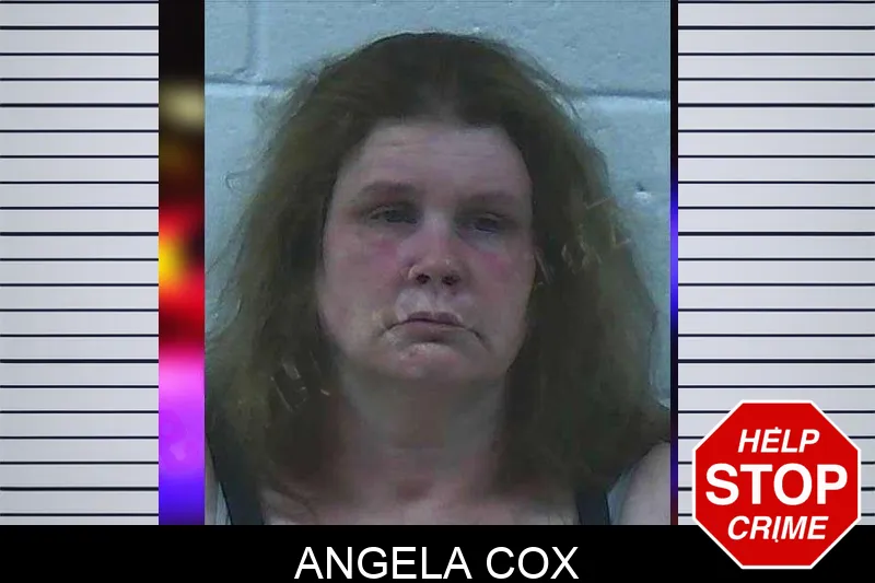 Angela Cox Mugshots