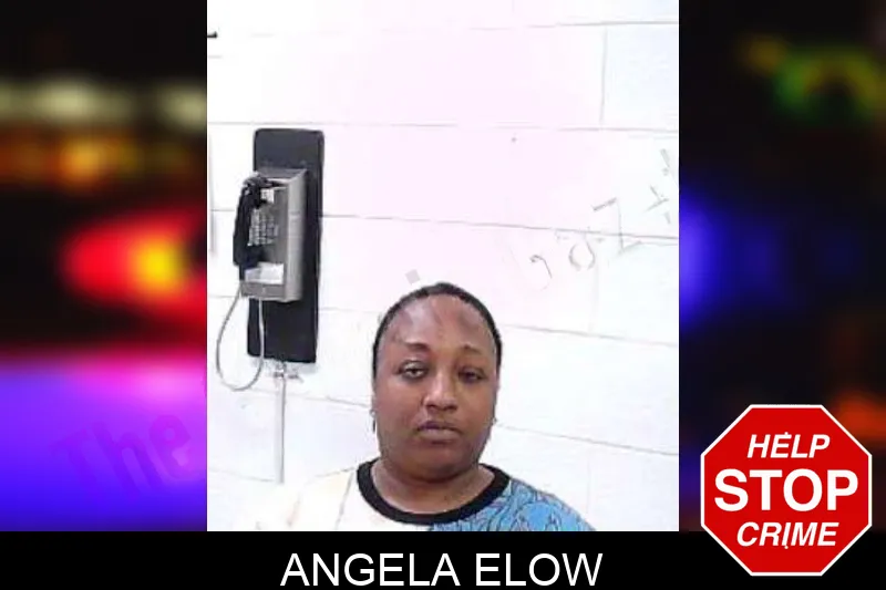 Angela Elow mugshot
