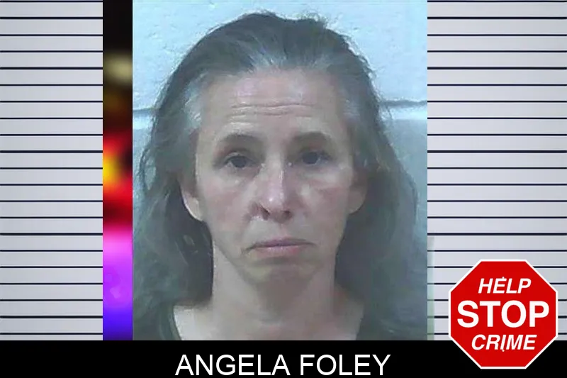 Angela Foley Mugshots