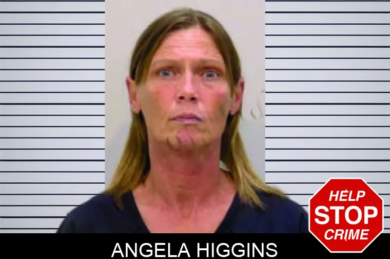 Angela Higgins mugshot – Bartow County , Georgia Angela Higgins mugshot