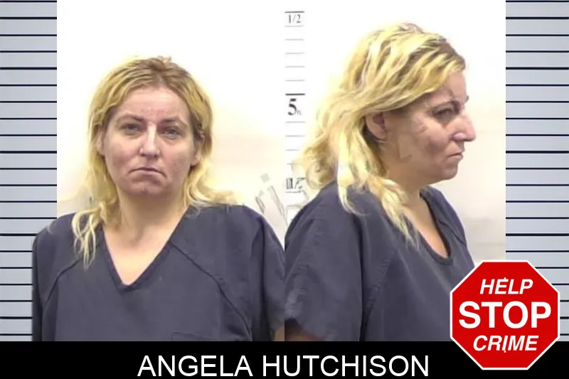 Angela Hutchison Mugshots
