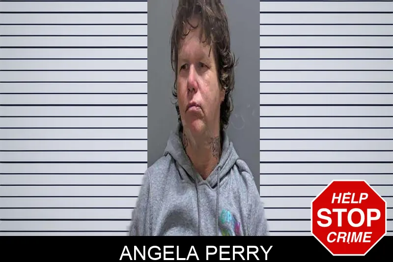 Angela Perry Mugshots