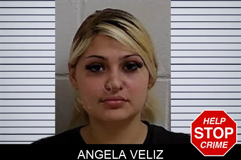 Angela Veliz Mugshots