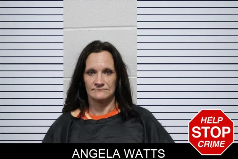 Angela Watts mugshot – Habersham County , Georgia Angela Watts