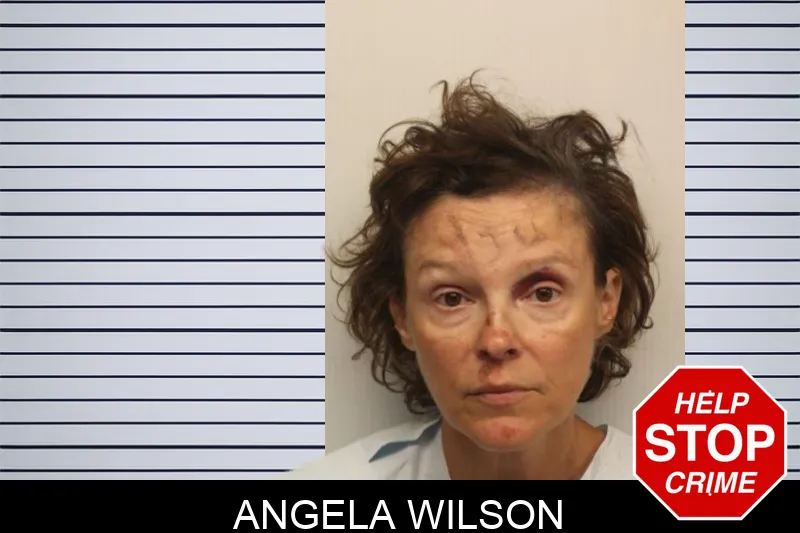 Angela Wilson mugshot