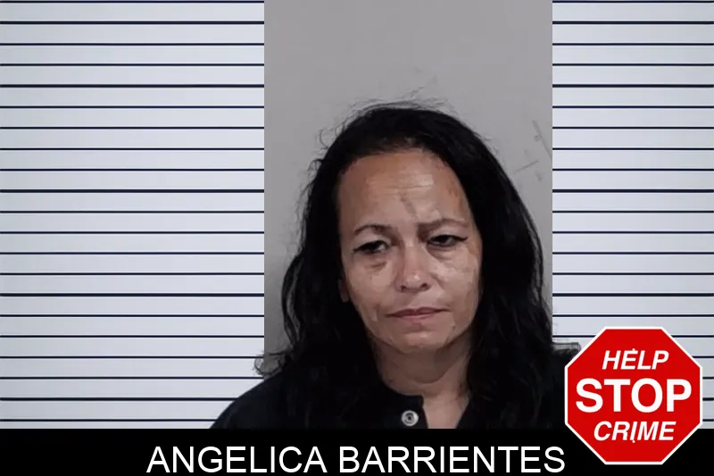 Angelica Barrientes Mugshots