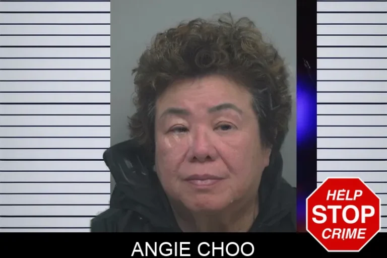 Angie Choo mugshot – Gwinnett County , Georgia Angie Choo