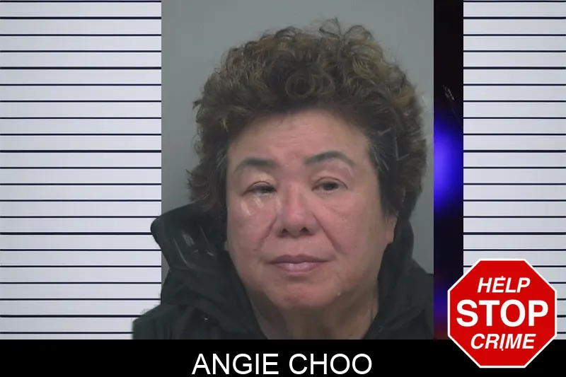 Angie Choo Mugshots