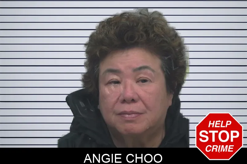 Angie Choo Mugshots