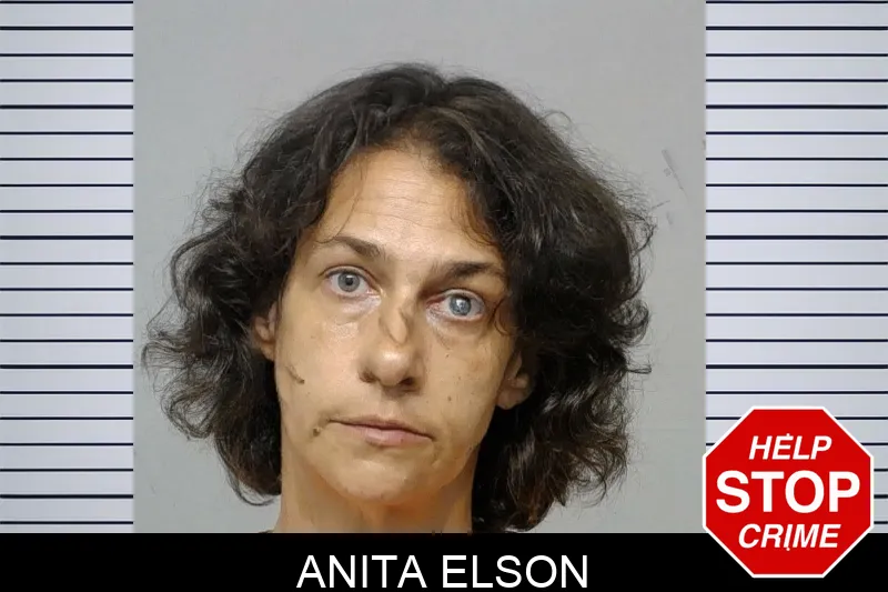 Anita Elson Mugshots