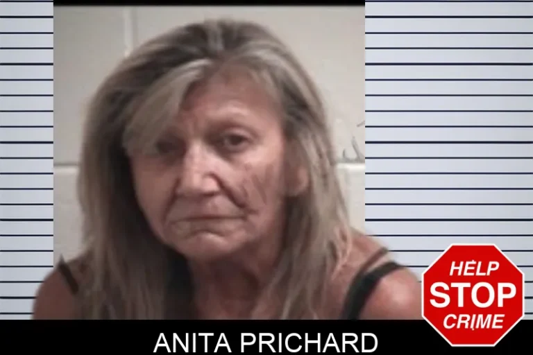 Anita Prichard mugshot – Henry County , Georgia Anita Prichard