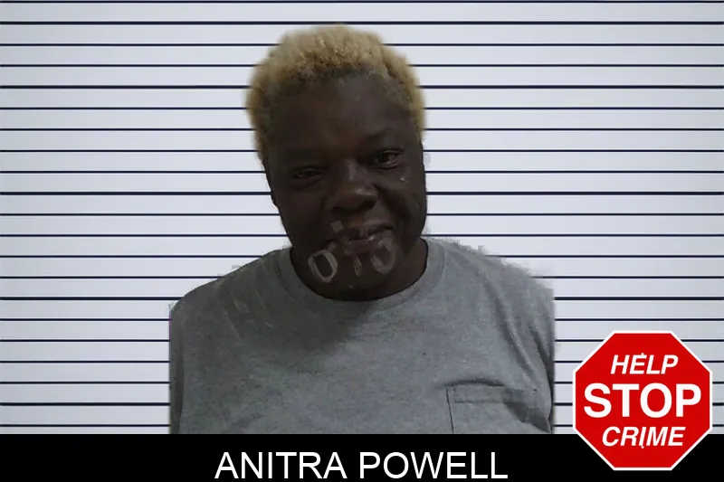 Anitra Powell Mugshots