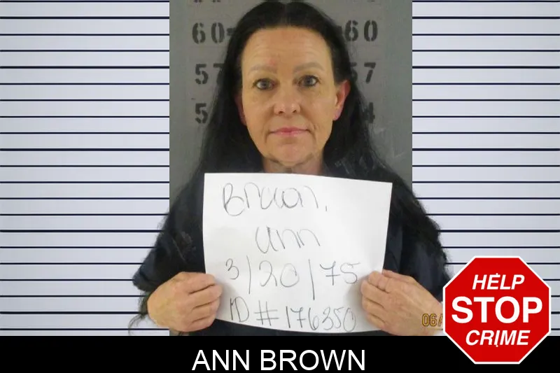 Ann Brown Mugshots