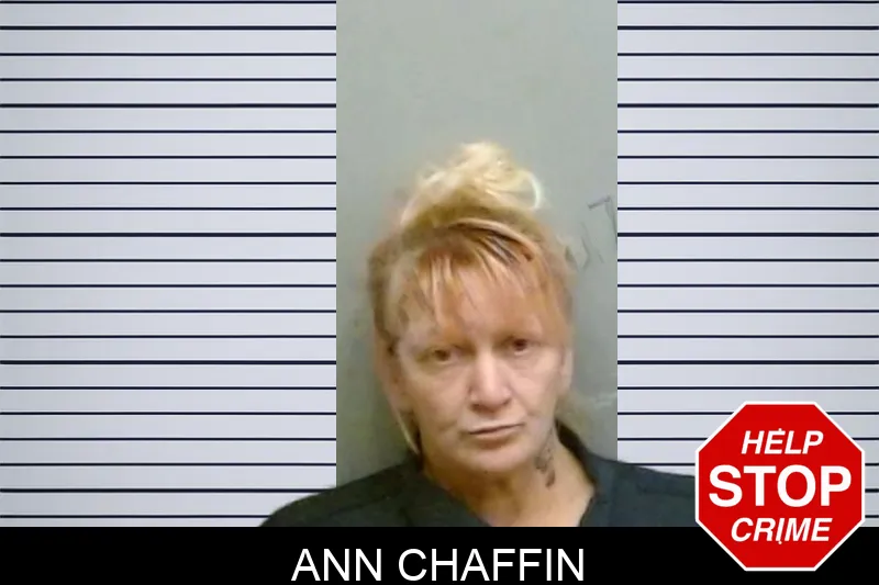 Ann Chaffin
