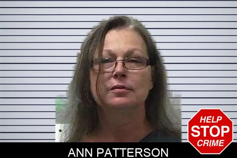 Ann Patterson mugshot – Gilmer County , Georgia Ann Patterson
