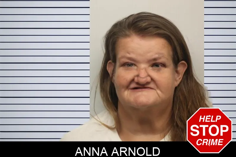 Anna Arnold Mugshots
