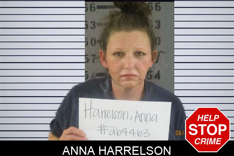 Anna Harrelson Mugshots