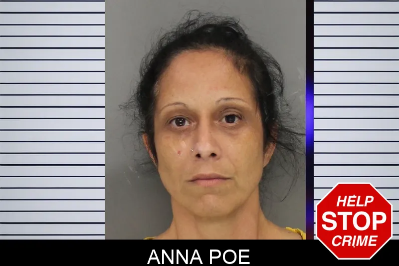 Anna Poe mugshot – Cobb County , Georgia Anna Poe mugshot