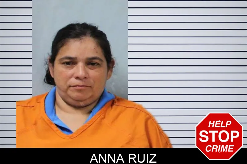 Anna Ruiz Mugshots