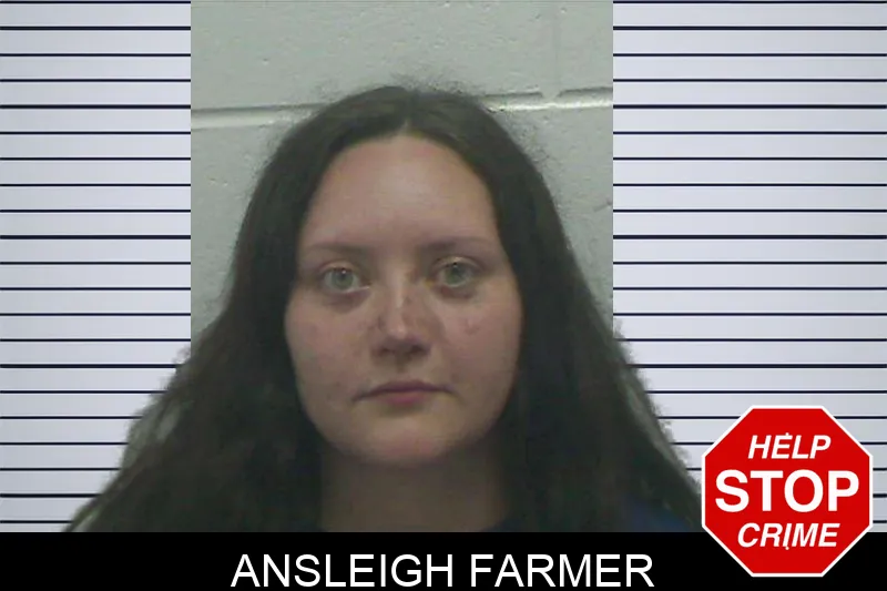 Ansleigh Farmer Mugshots