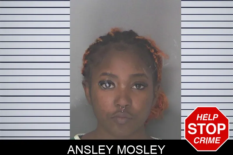 Ansley Mosley Mugshots