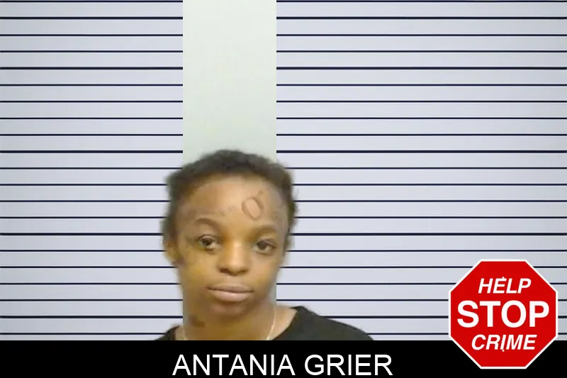 Antania Grier mugshot