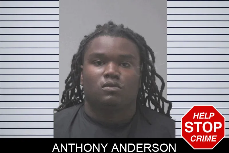 Anthony Anderson Mugshots