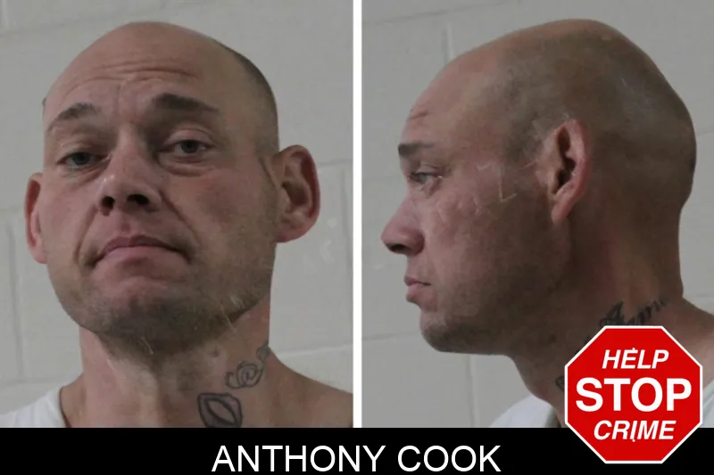 Anthony Cook Mugshots