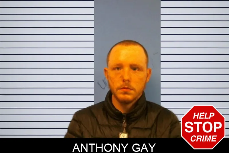 Anthony Gay mugshot