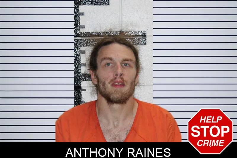 Anthony Raines mugshot – Murray County , Georgia Anthony Raines mugshot