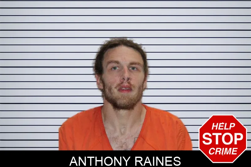 Anthony Raines Mugshots