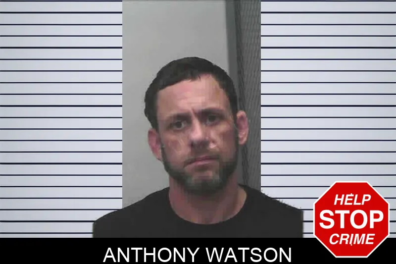 Anthony Watson Mugshots