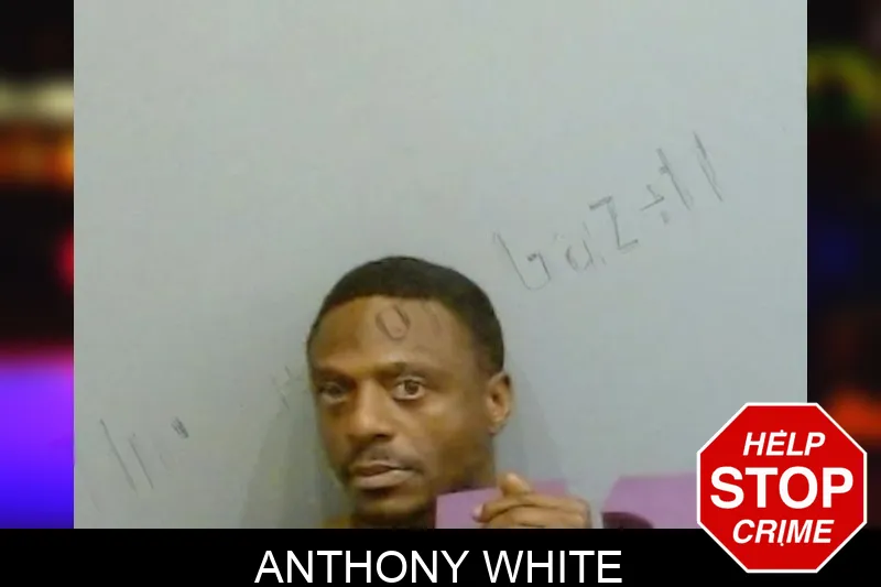 Anthony White Mugshots