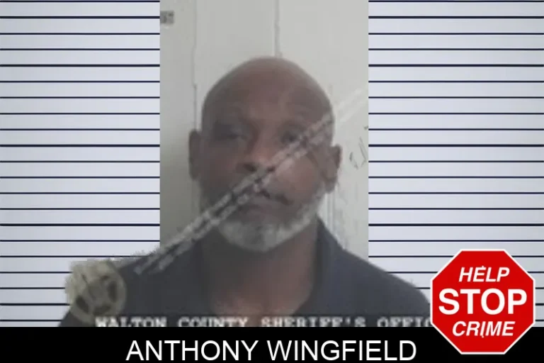Anthony Wingfield