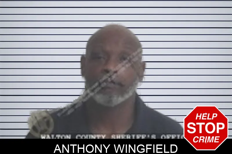 Anthony Wingfield Mugshots