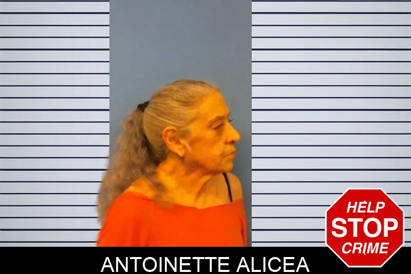 Antoinette Alicea Mugshots